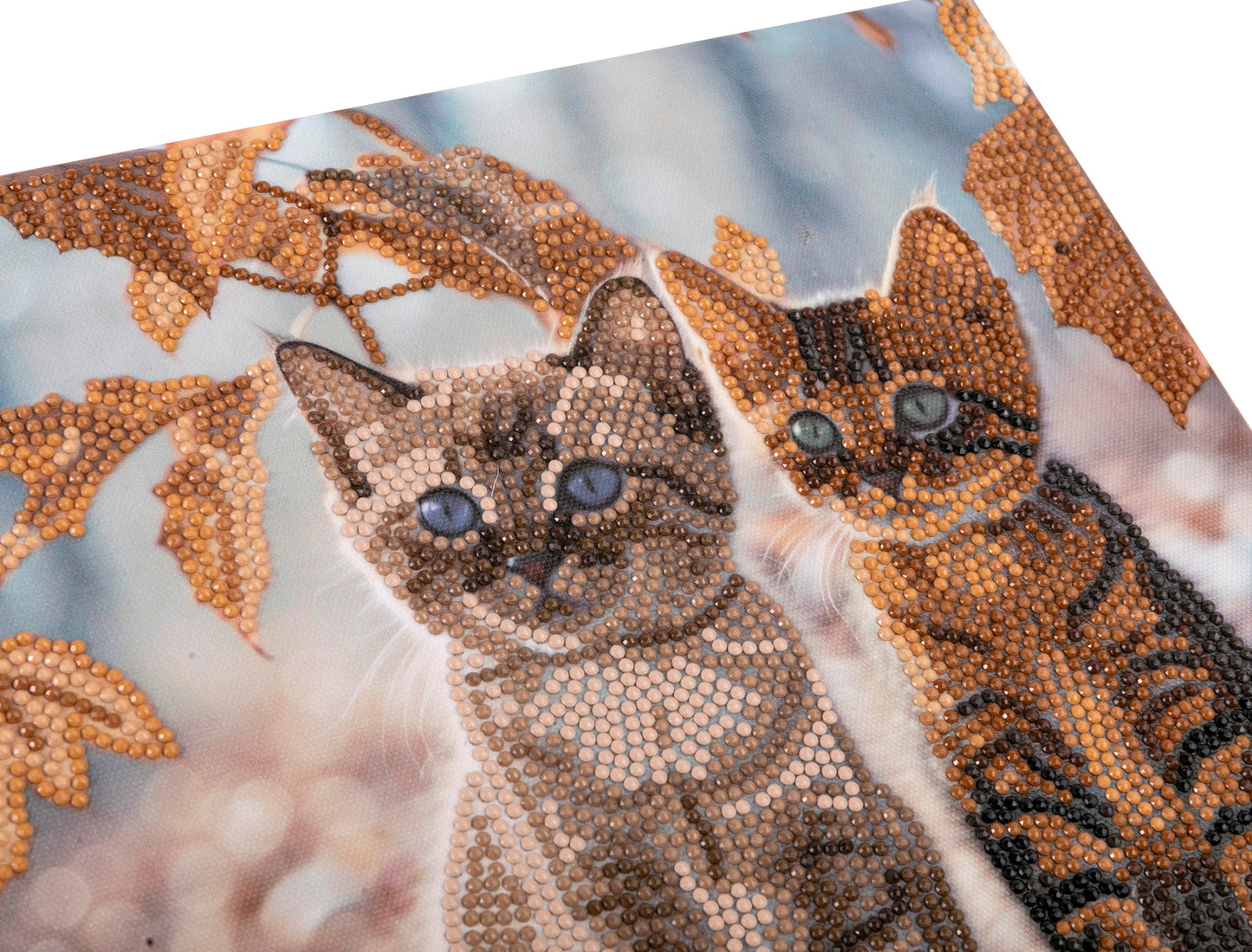 Autumn Kittens Crystal Art Card 18x18cm 7