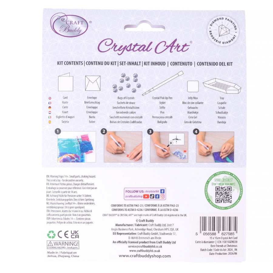 Best Friends Crystal Art Card Kit 15x15cm