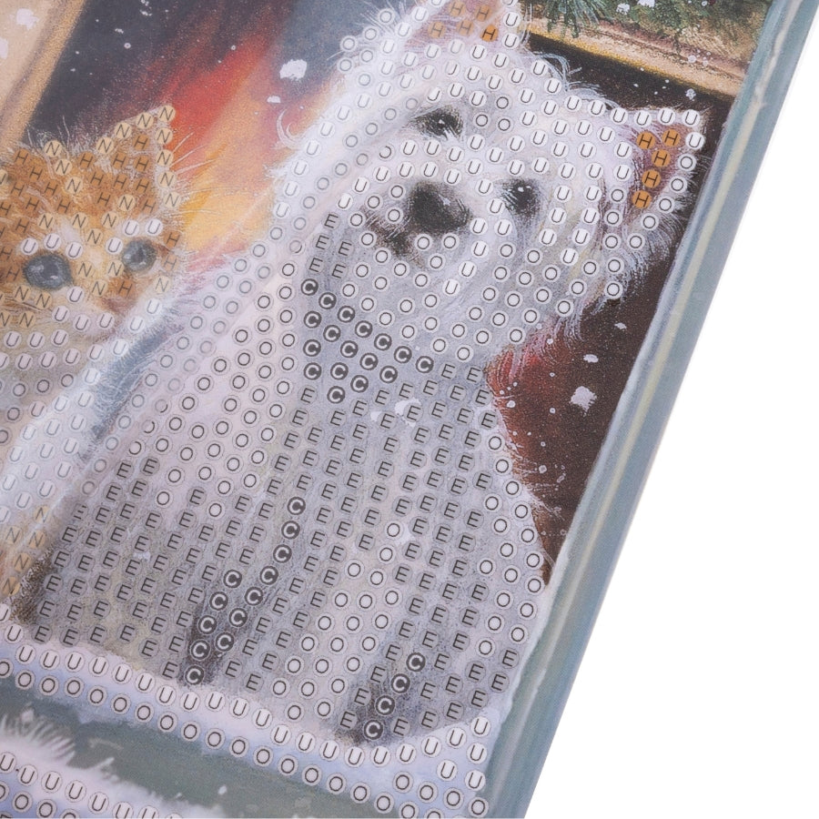 Best Friends Crystal Art Card Kit 15x15cm