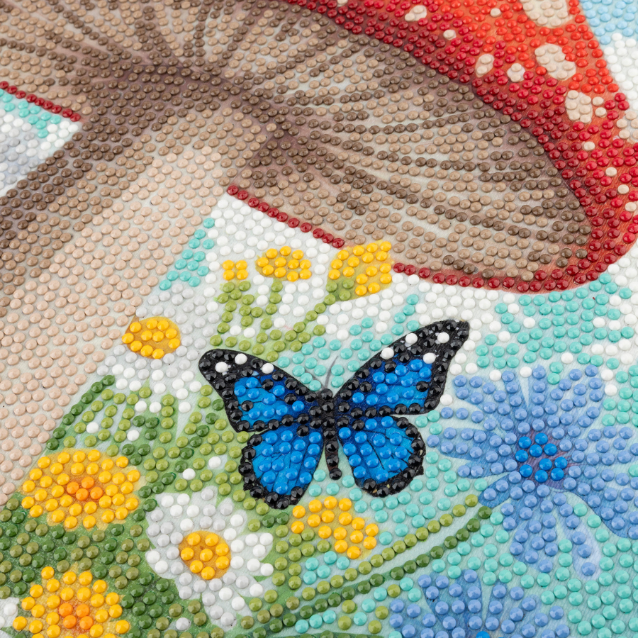 Colourful Mushrooms Crystal Art Canvas Kit 40x50cm