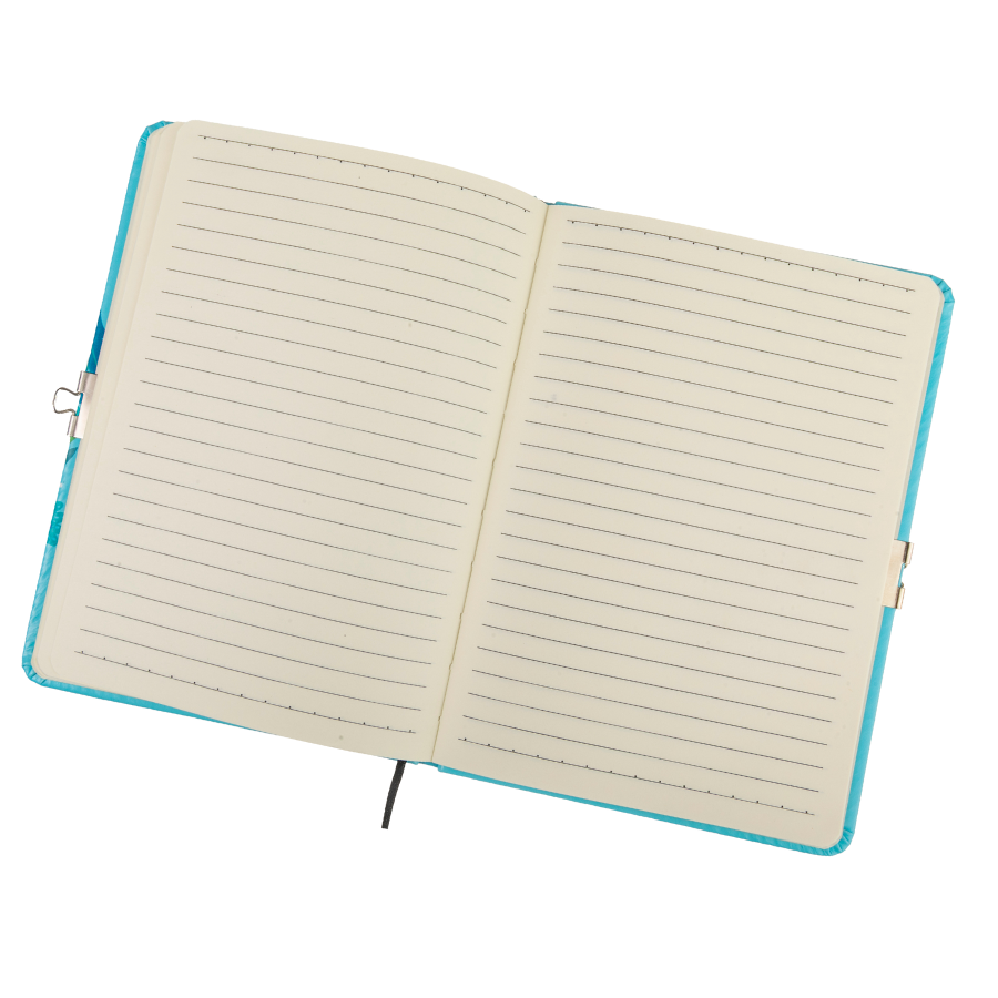 Elsa & Anna Crystal Art Secret Diary Disney