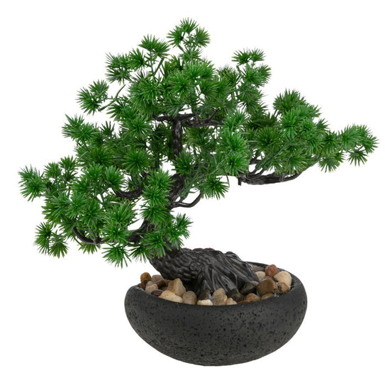 Forever Flowerz Pine Bonsai Tree Kit complete2