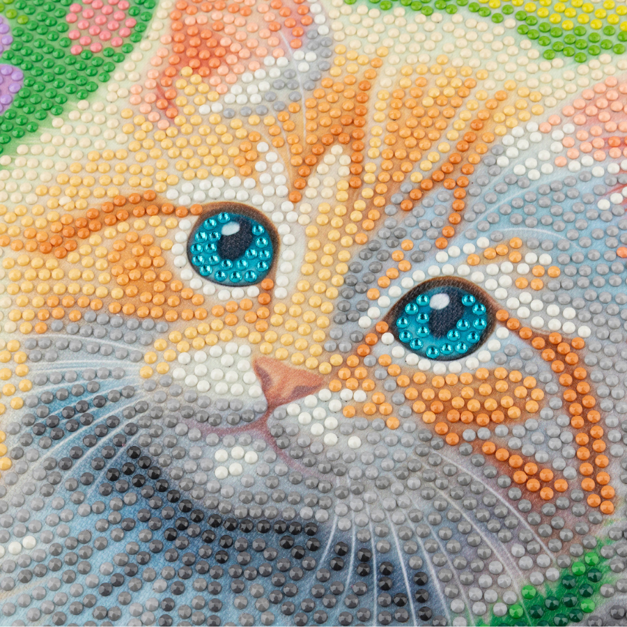 Garden Cats Crystal Art Canvas Kit 40x50cm