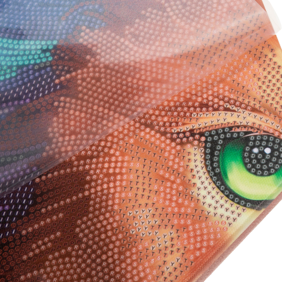 Majestic Lion Crystal Art Hexagon Decoration Kit
