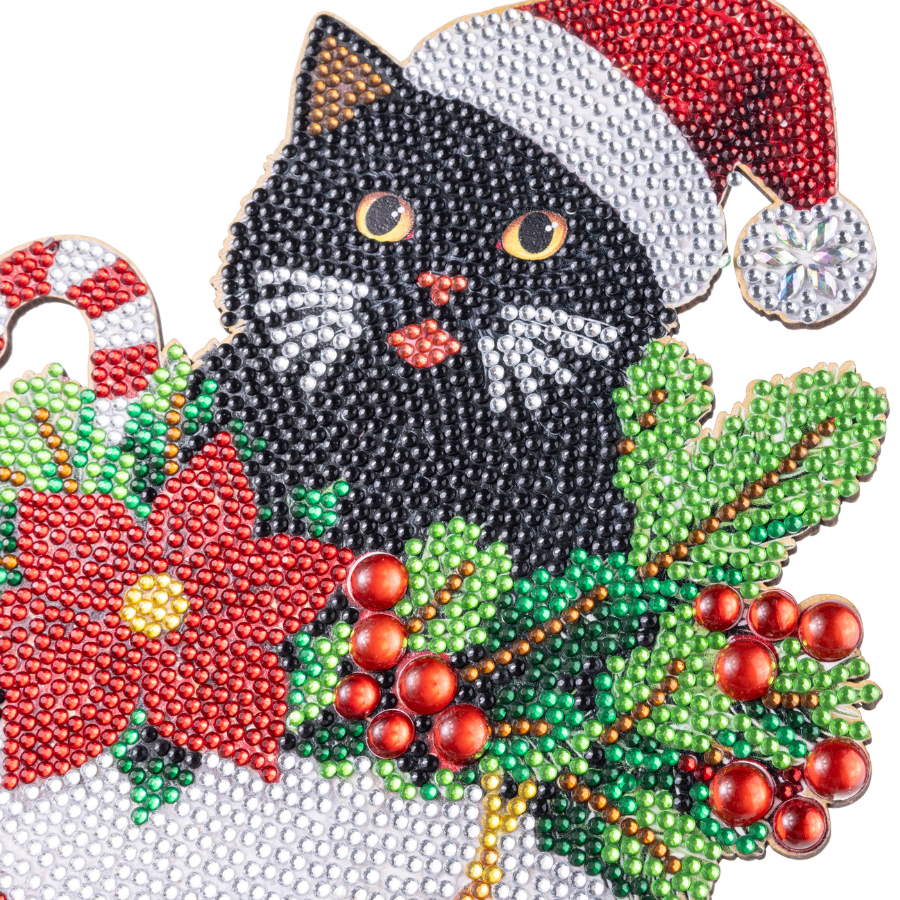 Midnight's Surprise Crystal Art Decoration Kit