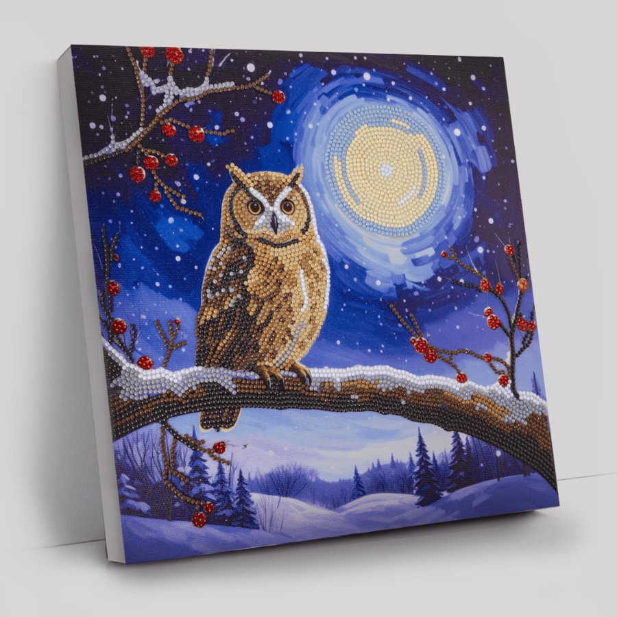 Moonlit Owl Crystal Art Canvas Kit 30x30cm