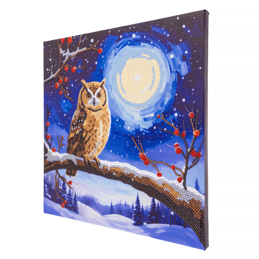 Moonlit Owl Crystal Art Canvas Kit 30x30cm