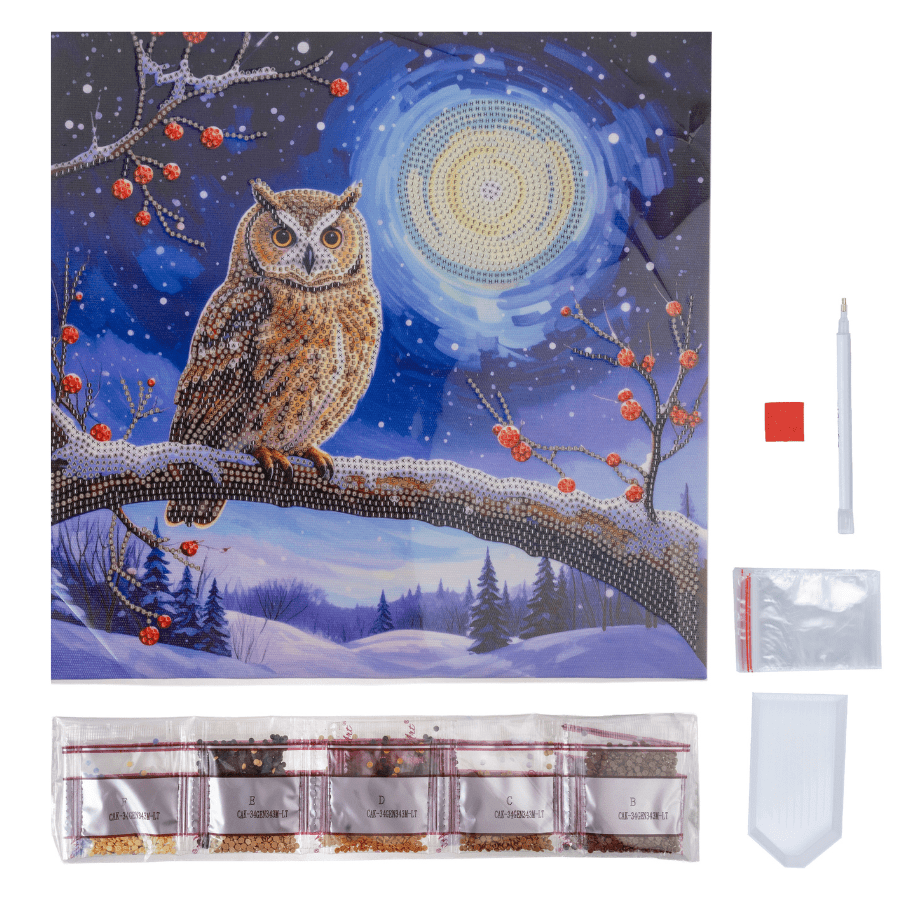 Moonlit Owl Crystal Art Canvas Kit 30x30cm