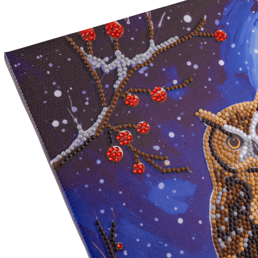 Moonlit Owl Crystal Art Canvas Kit 30x30cm