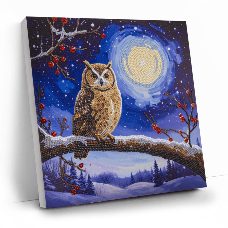 Moonlit Owl Crystal Art Canvas Kit 30x30cm