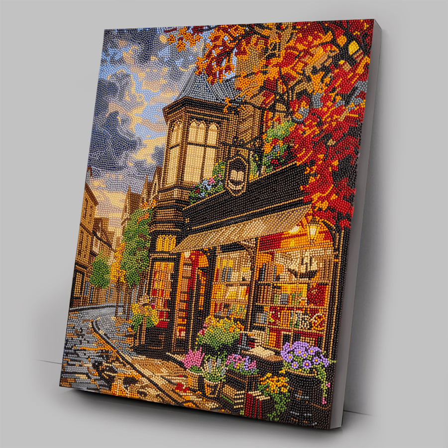 Old Book Store Crystal Art Canvas Kit 40x50cm