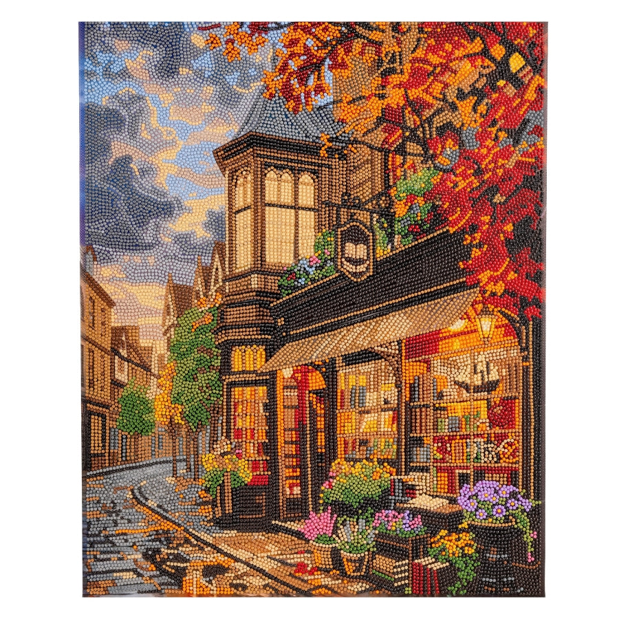 Old Book Store Crystal Art Canvas Kit 40x50cm