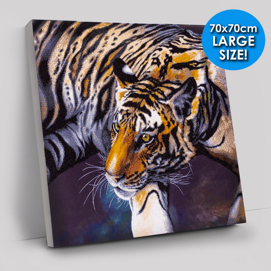 CAK-CH1: The Tiger by Claudia Hahn 70 x 70cm (Super Sized)