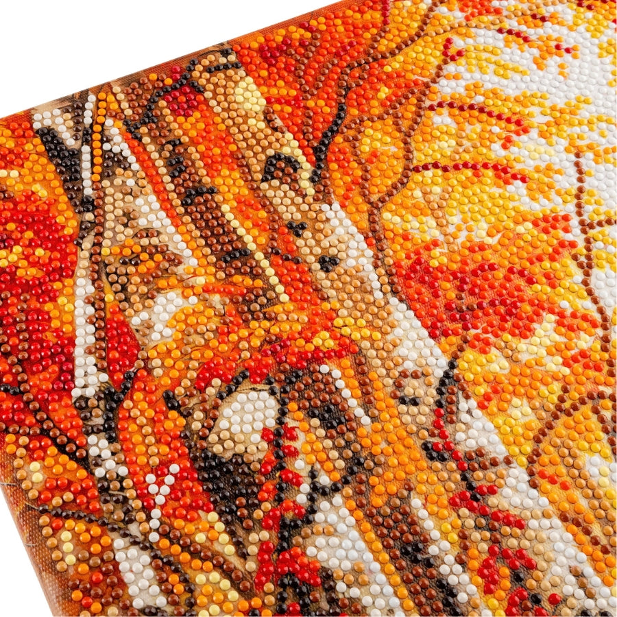 Autumn Forest Crystal Art Canvas Kit 40x50cm