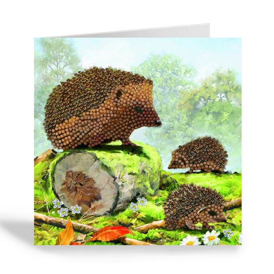 CCK-A69: "Happy Hedgehog" 18x18cm Crystal Art Card