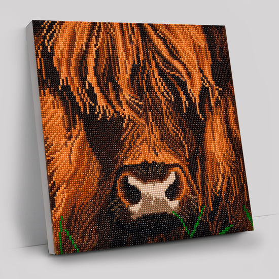 CAK-A165M: "Highland Cow" 30x30cm Crystal Art Kit