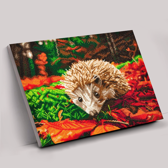 CAK-A106L: "Hedgehog" Framed Crystal Art Kit, 40 x 50cm