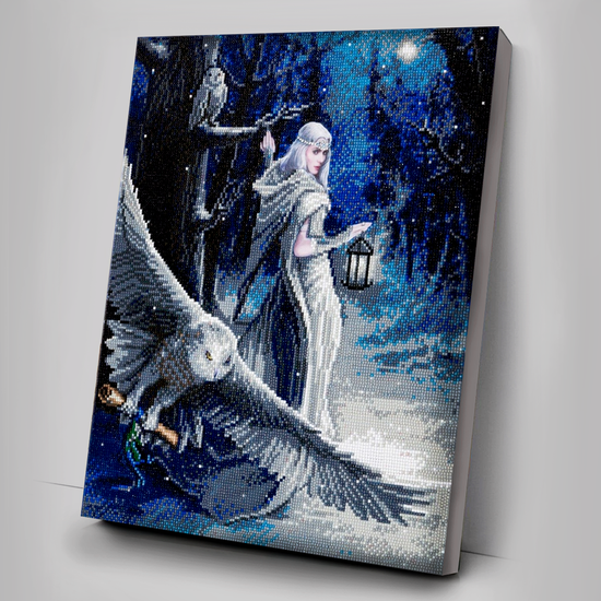 CAK-AST1: "Midnight Messenger" 40 x 50cm (Large) - Anne Stokes