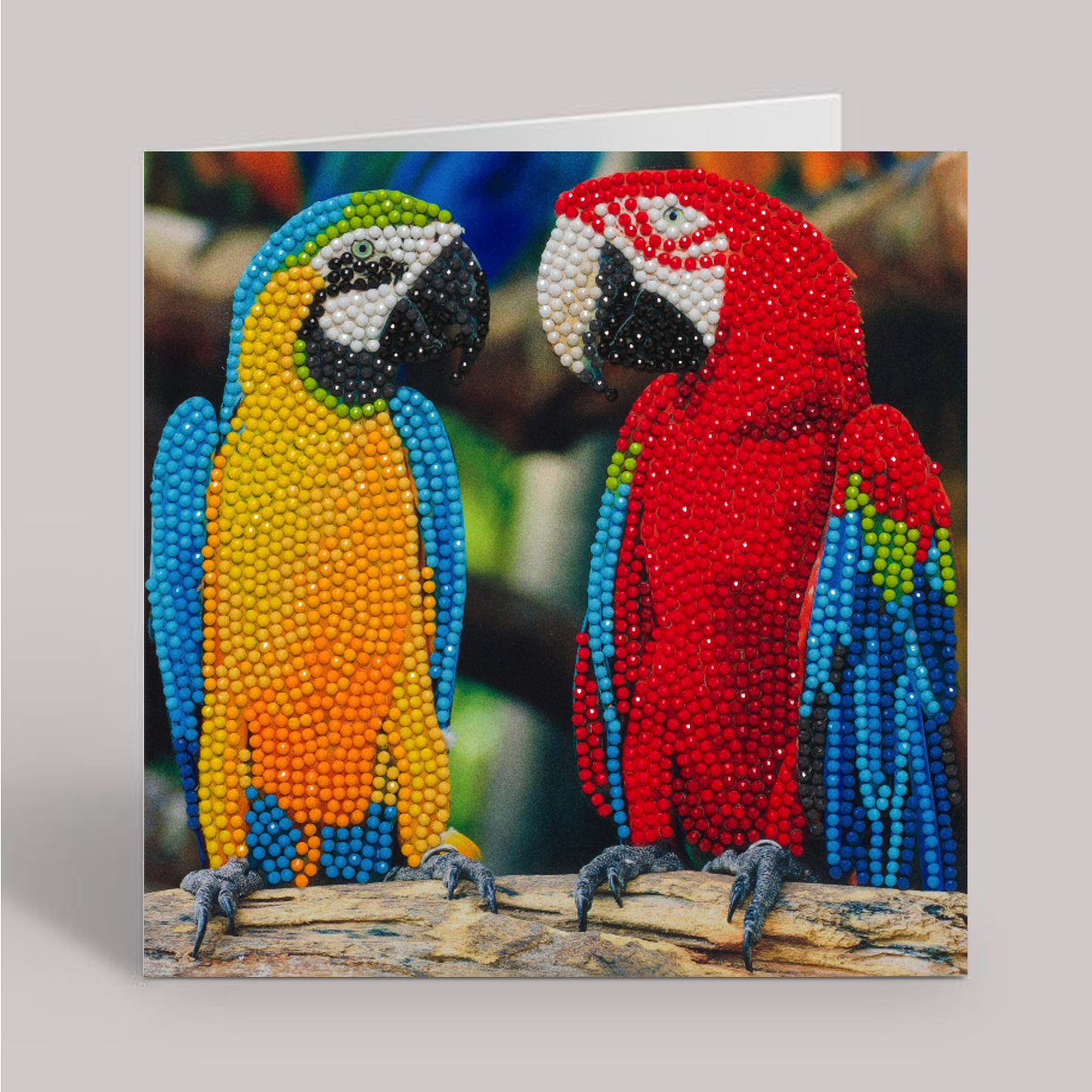 CCK-A76: "Parrot Friends" 18x18cm Crystal Art Card