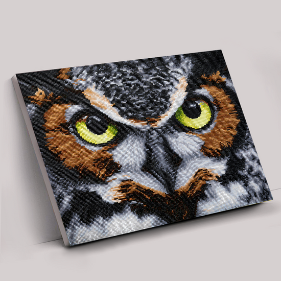 CAK-QVC-4050L-24: 'The Wise One' 40x50cm Crystal Art Kit