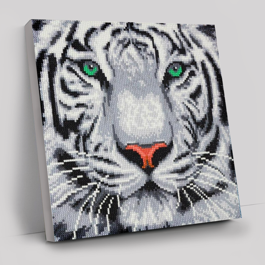 CAK-A96M "White Tiger" 30 x 30cm (Medium)