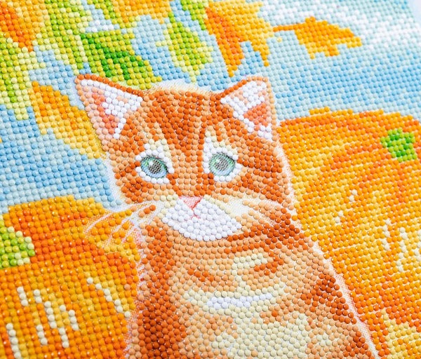 Autumn Cat 30x30cm Crystal Art Kit - Close Up