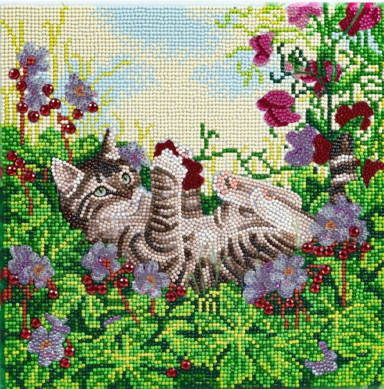 Playful Cat 30x30cm Crystal Art Kit