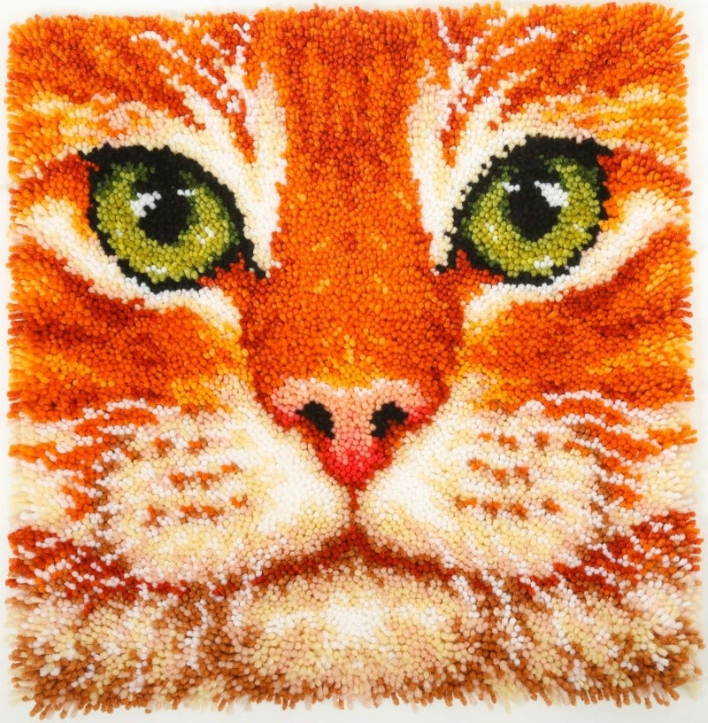 Craft Buddy Latch Hook Rug Kit 53.5*53.5cm LH03-CATBR