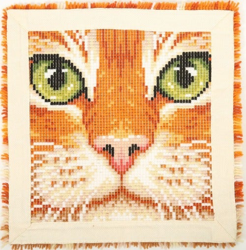Craft Buddy Latch Hook Rug Kit 53.5*53.5cm LH03-CATBR