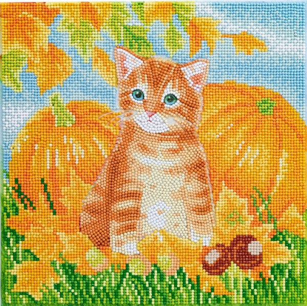 Autumn Cat 30x30cm Crystal Art Kit - Front View