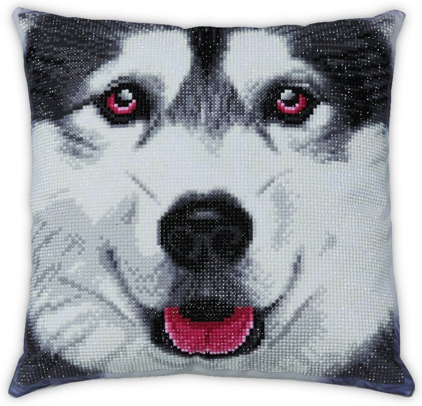 Alaskan Malamute Face Front 