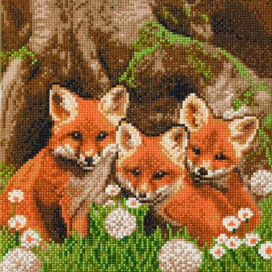 CAK-A116M: "Fox Cubs" 30x30cm Crystal Art Kit