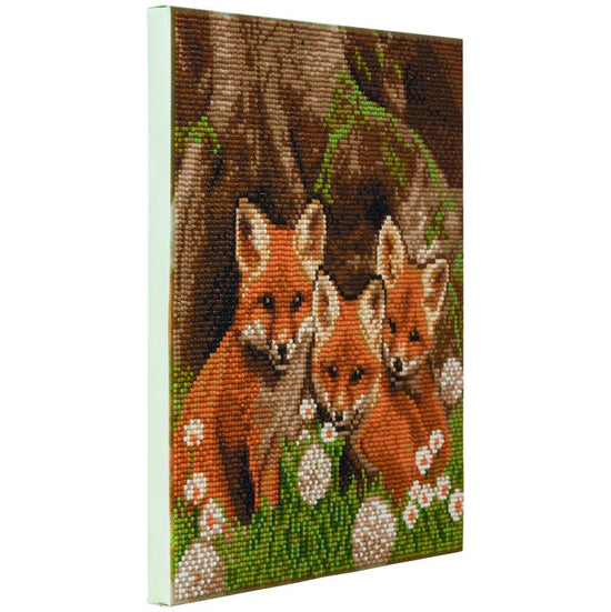 CAK-A116M: "Fox Cubs" 30x30cm Crystal Art Kit