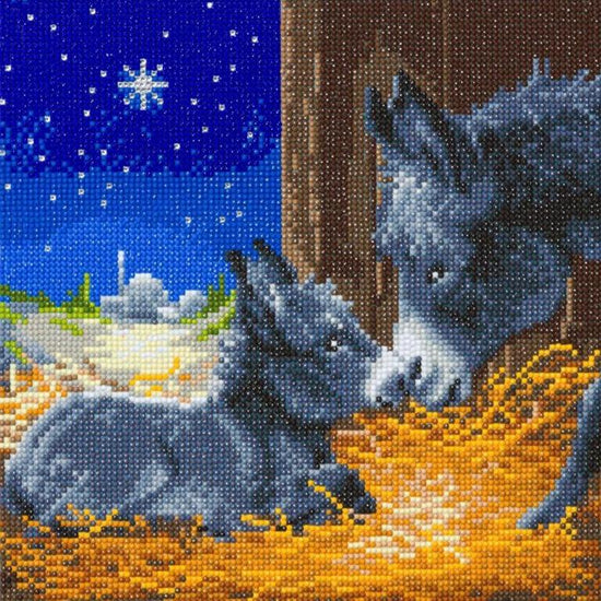 CAK-A119M: Little Donkey, 30x30cm Crystal Art Kit