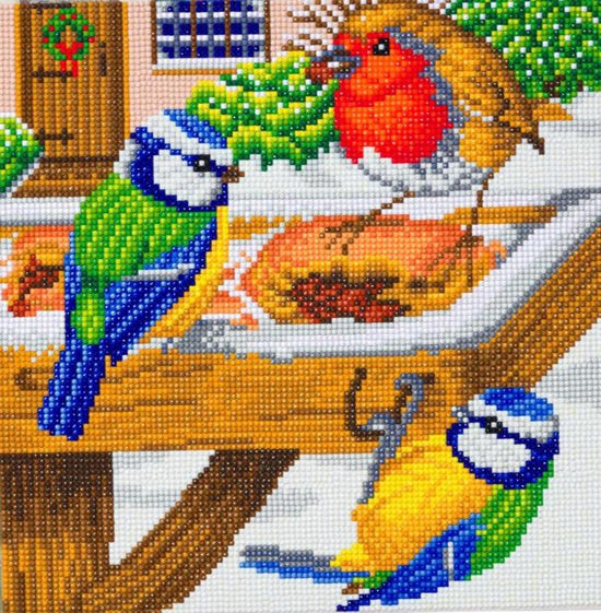 CAK-A120M: "Hungry Birds" 30x30cm Crystal Art Kit