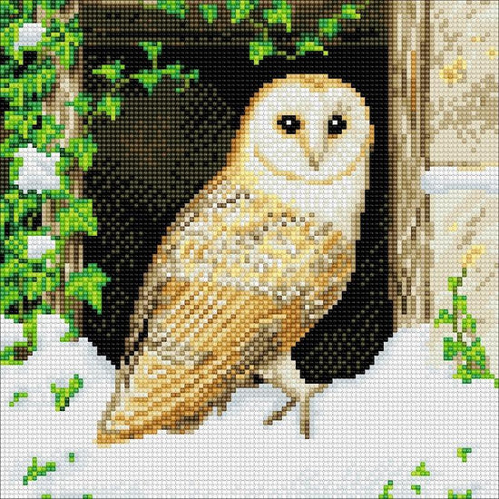 CAK-A121M: "Snowy Owl" 30x30cm Crystal Art Kit