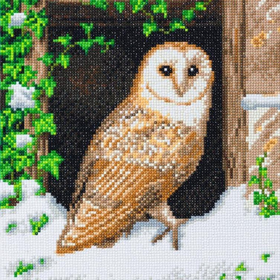 CAK-A121M: "Snowy Owl" 30x30cm Crystal Art Kit