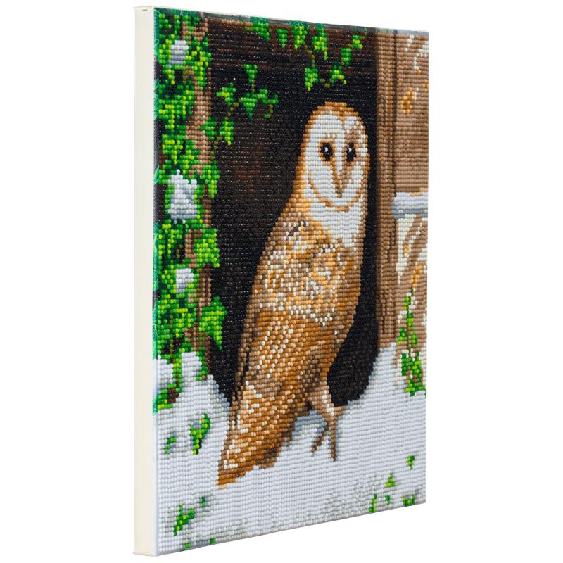 CAK-A121M: "Snowy Owl" 30x30cm Crystal Art Kit