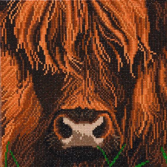 CAK-A165M: "Highland Cow" 30x30cm Crystal Art Kit