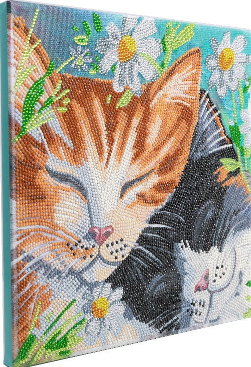 Sleepy Cats 30x30cm Crystal Art Kit - Side View