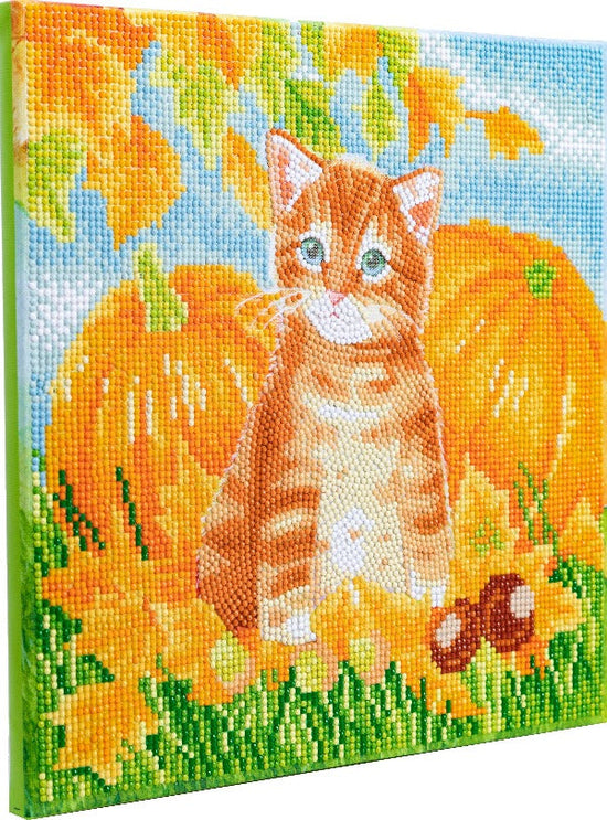 Autumn Cat 30x30cm Crystal Art Kit - Side View