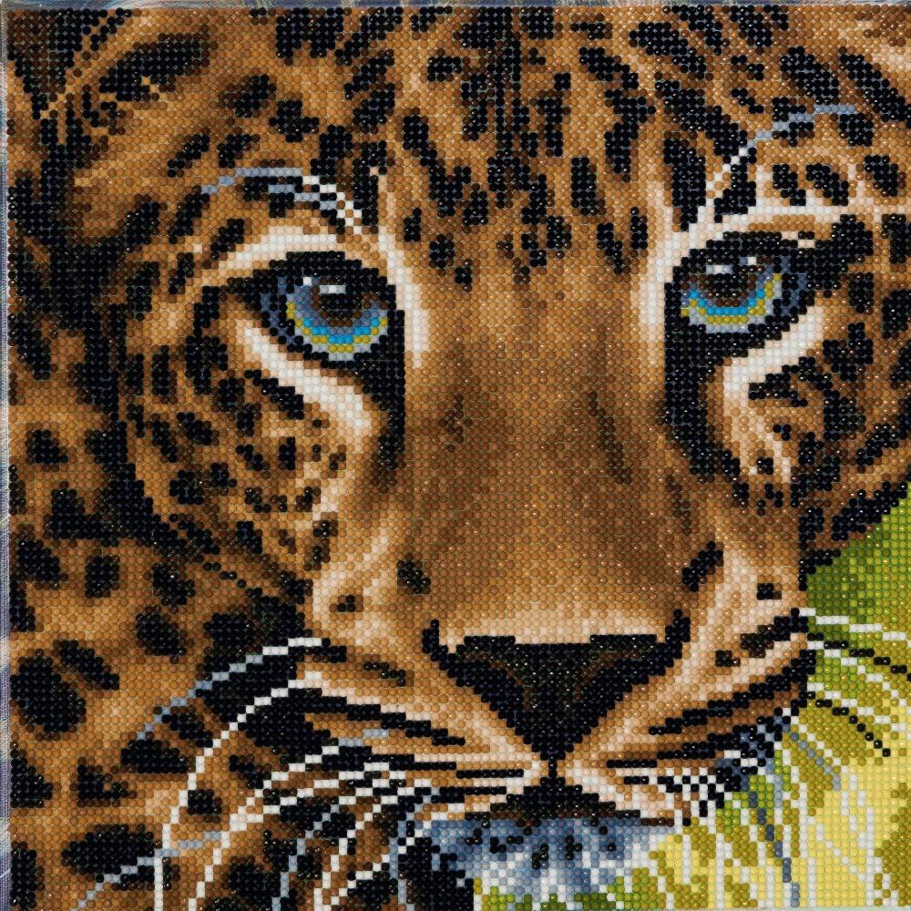 CAK-A66: "Leopard " Framed Crystal Art Kit 30 x 30cm (Medium)