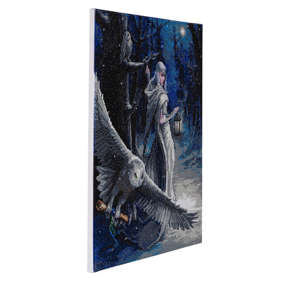 CAK-AST1: "Midnight Messenger" 40 x 50cm (Large) - Anne Stokes