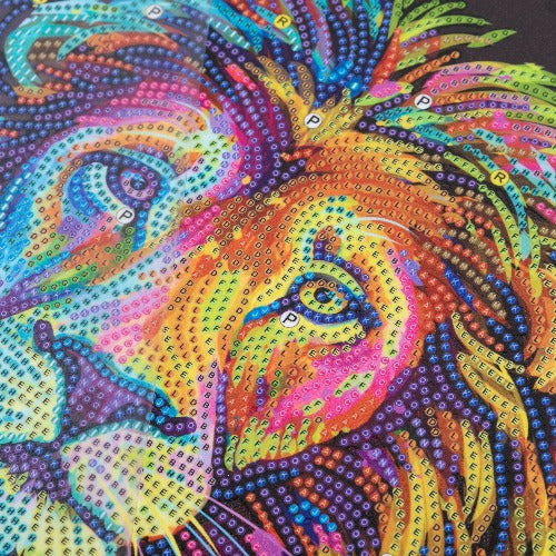 'Colourful & Proud' 40x50cm Crystal Art Kit - Incomplete Close Up