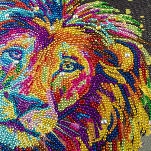 'Colourful & Proud' 40x50cm Crystal Art Kit - Complete Close Up