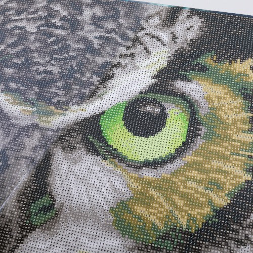 'The Wise One' 40x50cm Crystal Art Kit - Incomplete Close Up