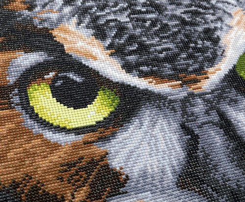 'The Wise One' 40x50cm Crystal Art Kit - Complete Close Up