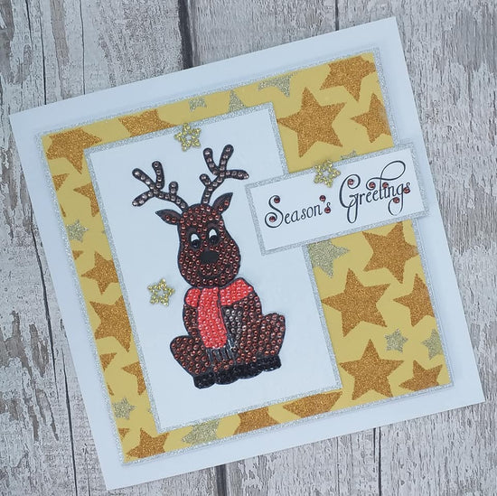 CCST16: Craft Buddy Jolly Reindeer A5 Crystal Art Stamp Set