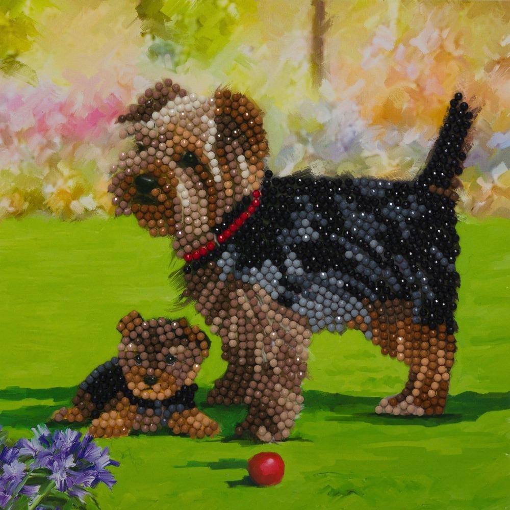 CCK-A46 "Yorkshire Terrier Dogs" Crystal Art Card Kit