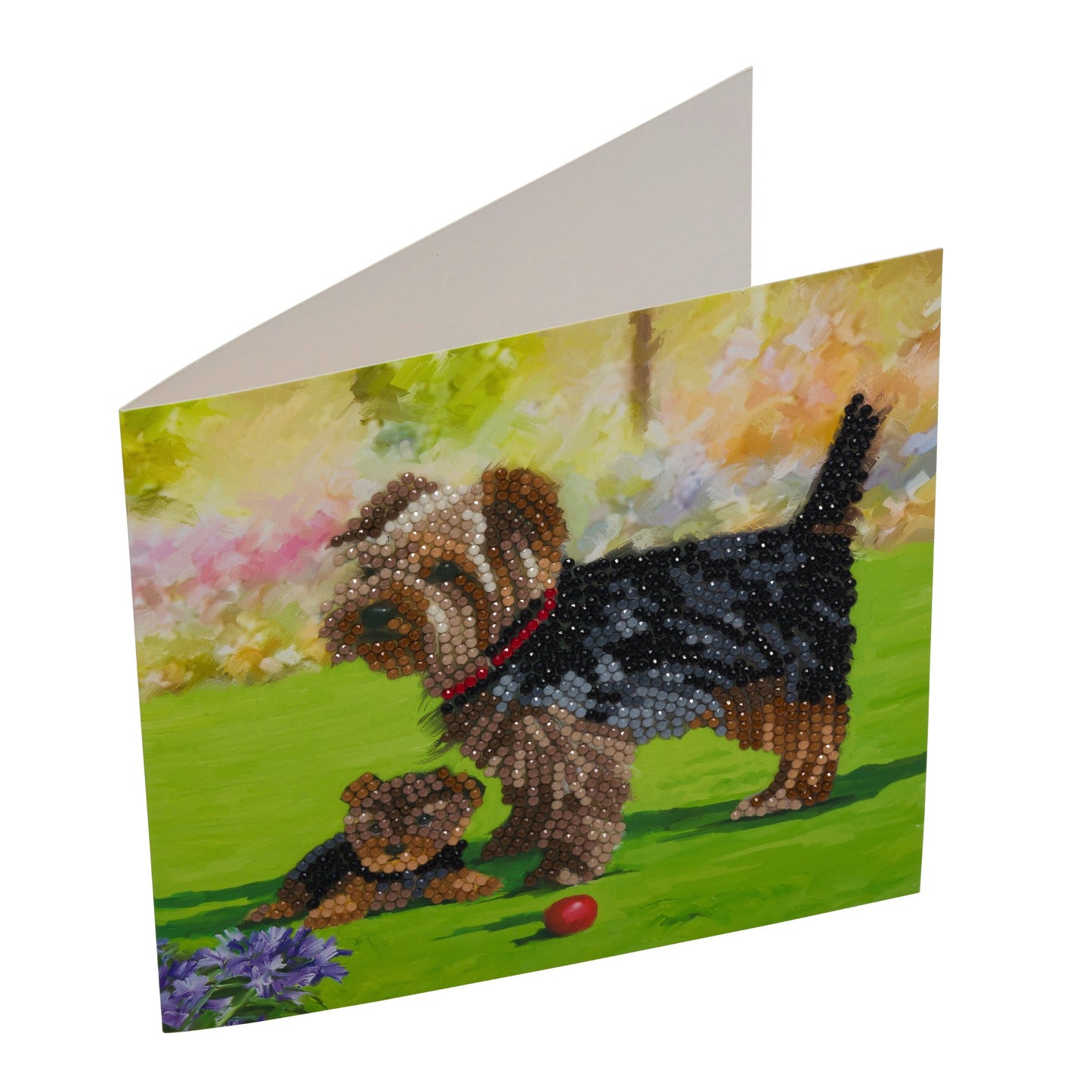 CCK-A46 "Yorkshire Terrier Dogs" Crystal Art Card Kit